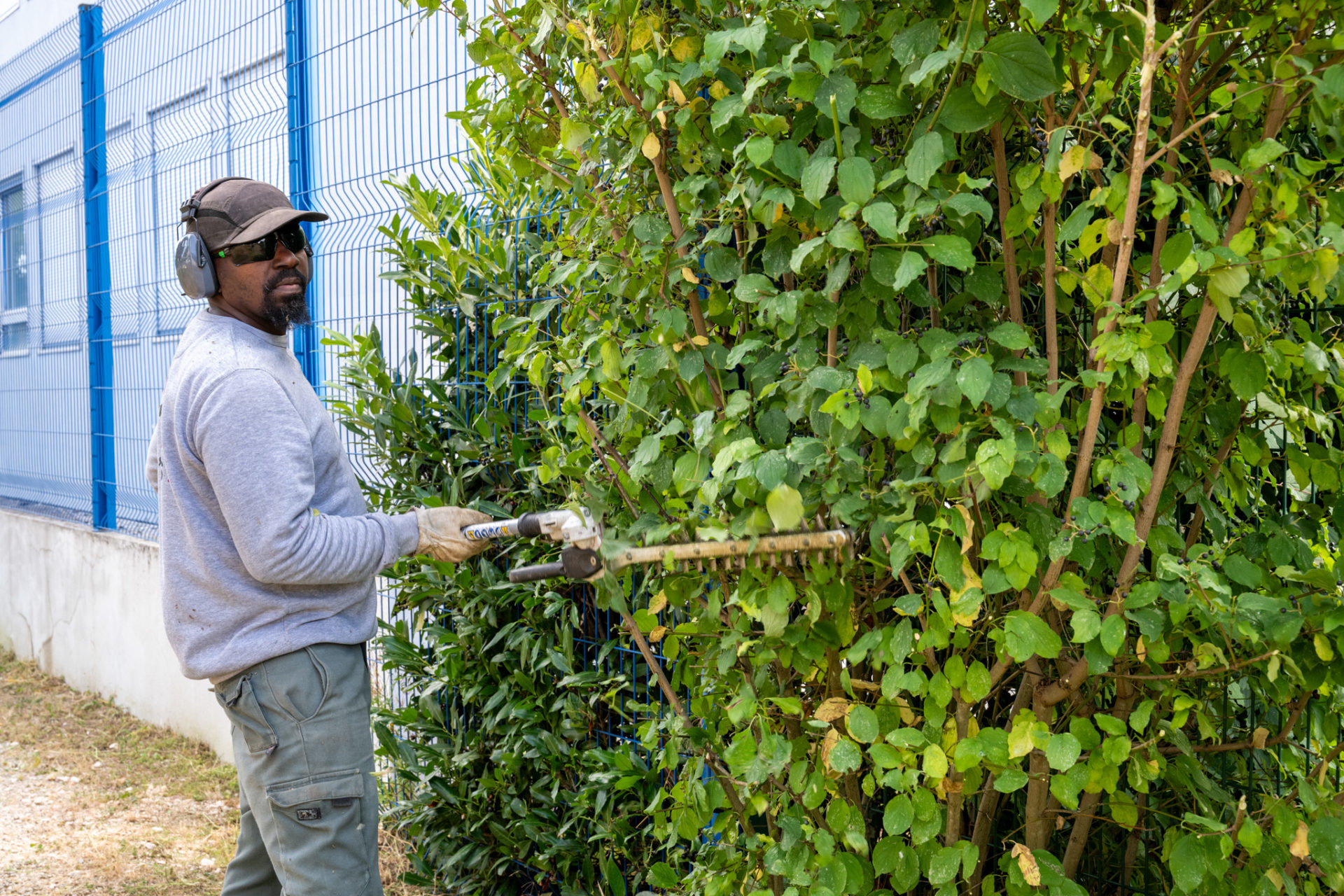 Id'ées 21 insertion professionnelle